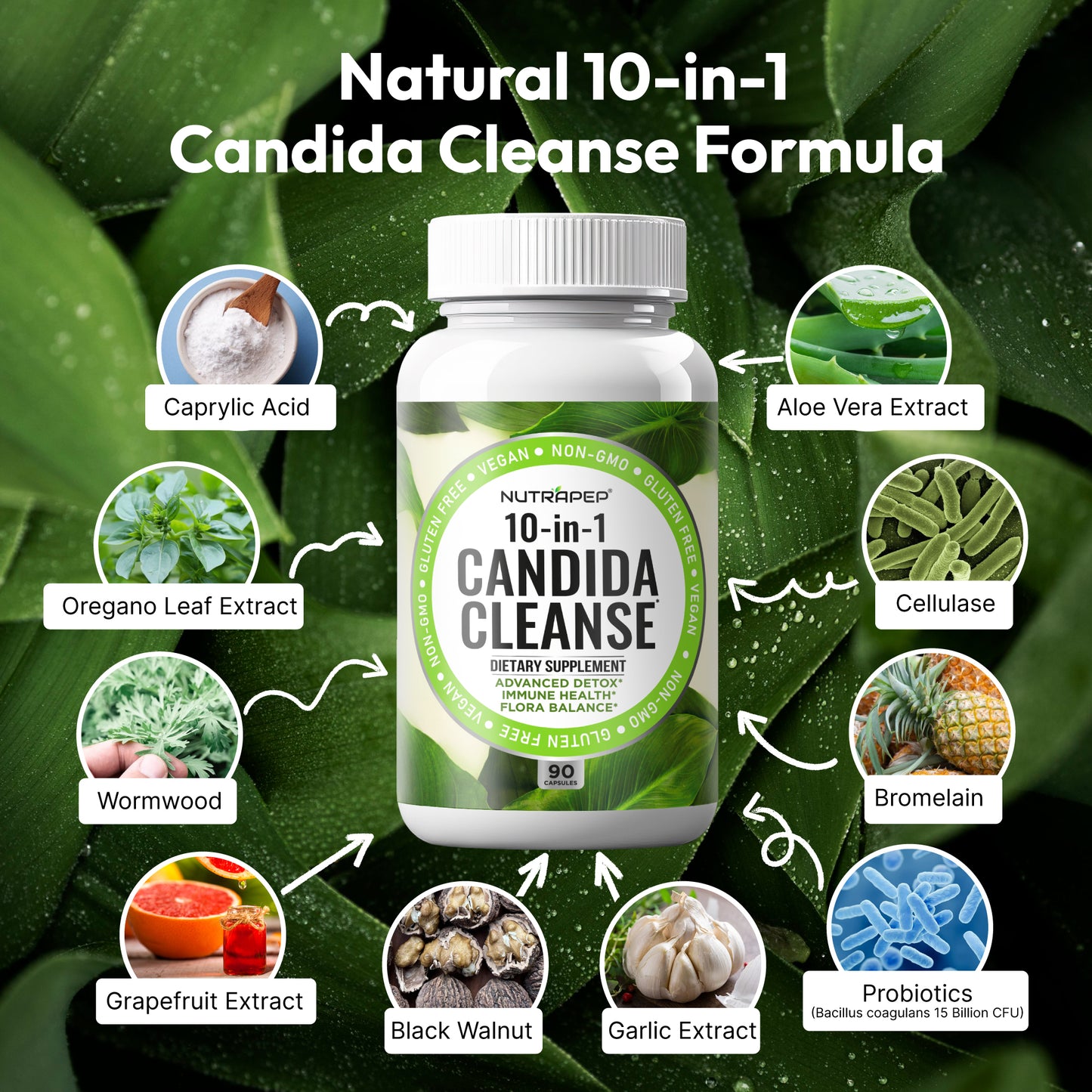 Nutrapep Candida Cleanse Detox Supplement