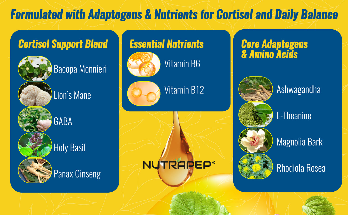 Nutrapep Cortisol Detox Liquid Drops