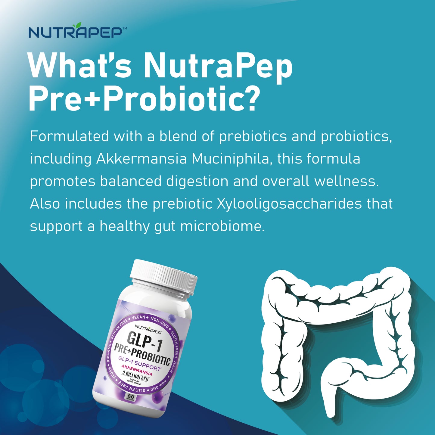 Nutrapep Akkermansia Muciniphila GLP-1 Probiotic Supplements