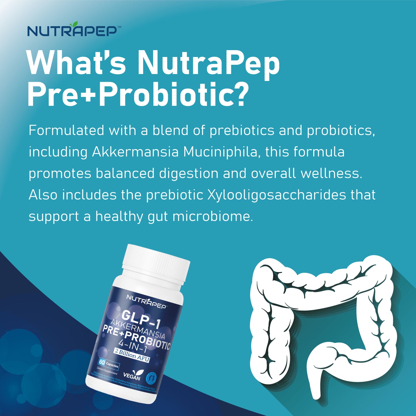 Nutrapep Akkermansia Muciniphila GLP-1 Probiotic Supplements